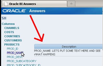 Image result for Oracle OBIEE Answers Tutorial