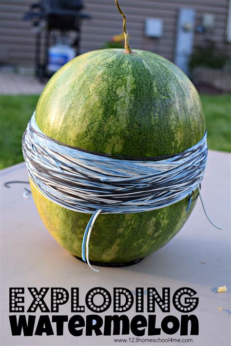Watermelon Rubber Band