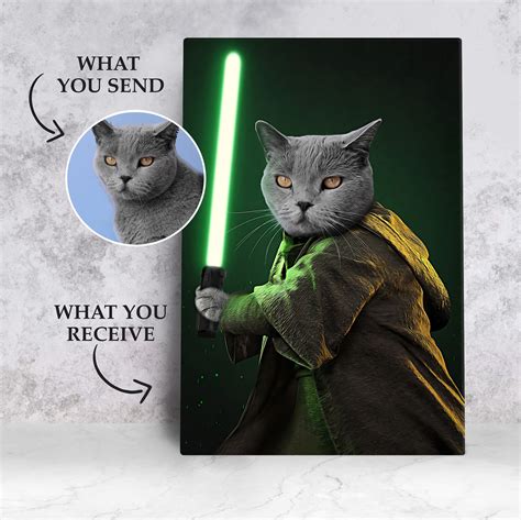 Star Wars Cat Meme