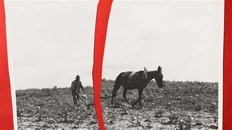 The Broken Promise of ‘40 Acres and a Mule’ - Christianity Today