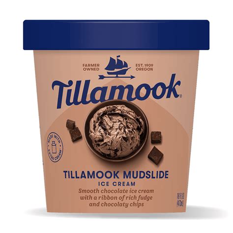 Sea Salt Honeycomb Toffee Ice Cream Pint - Tillamook