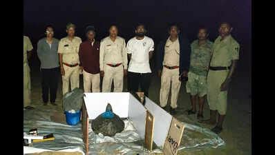 Satellite-tagged turtles travel 1,000 km to Sri Lankan waters ...