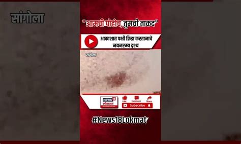 flying birds : आकाशात पक्षी क्रिडा करतानाचे नयनरम्य दृश्य