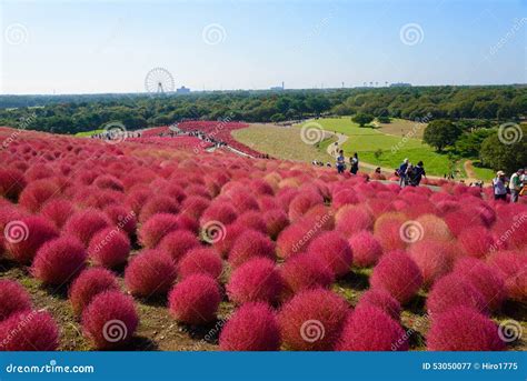 Image result for Pattern Finding with Unsupervised Learning Telecom