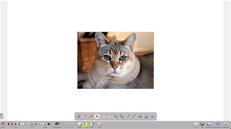 Image result for OpenBoard Tutorial