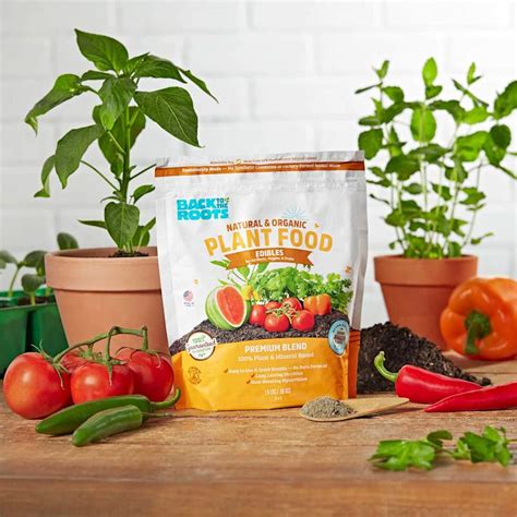 Back to Roots Organic Edible Plant Food, 1.5lb | At Home