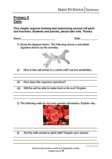Science Worksheets 的图像结果