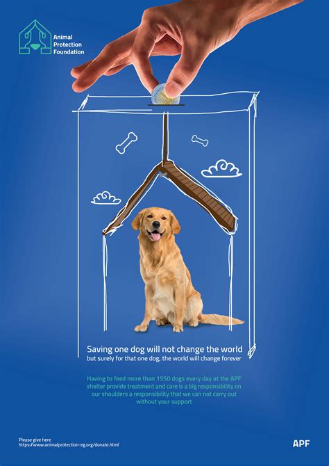 Animal Protection Foundation - brand identity on Behance