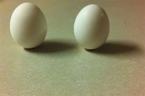 Image result for The Most Insan Ne Fun Physics Experiments