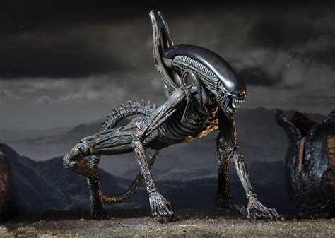 Image result for Alien Covenant Neomorph vs Xenomorph