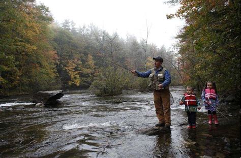Local Communty 的图像结果