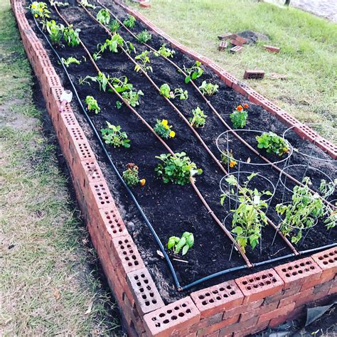 Diy Raised Bed Irrigation System - Simple DIY Fixes