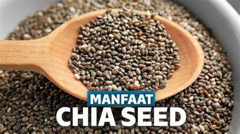 manfaat chia seed untuk wajah berjerawat
