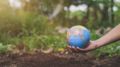 Geography Map Environment 的图像结果