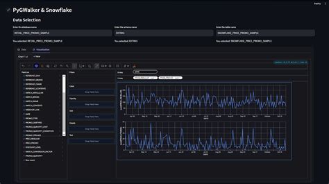 Snowflake Streamlit Tutorial 的图像结果