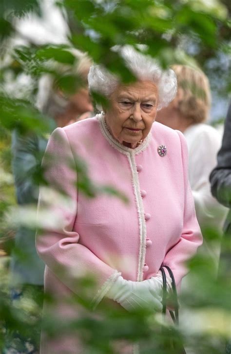 Mumbai Police’s Hilarious Race 3 Meme, Queen Elizabeth’s Parody Account ...