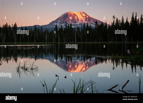 Image result for OneNote Note Widget