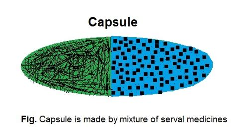 Image result for Encapsulation Example