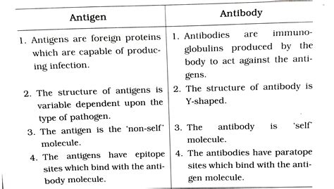 Antigen and Antibody.