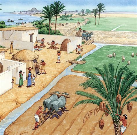 Irrigation Systems In Mesopotamia