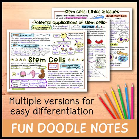 Stem Cells Free Science Lessons 的图像结果