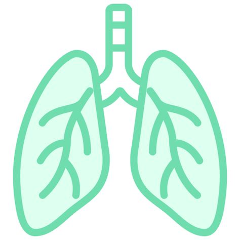 Bronchi - Free icons