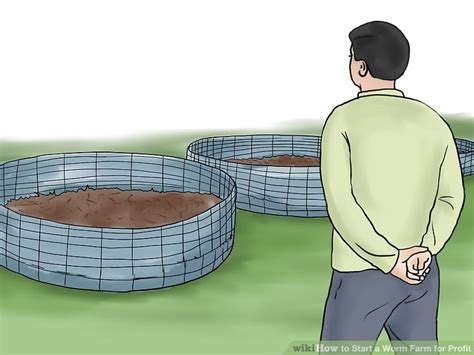 Worm Farm Business 的图像结果