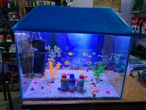 PRIYU 40 litres Aquarium Glass Tank Set (12X12X18 Inches) : Amazon.in ...