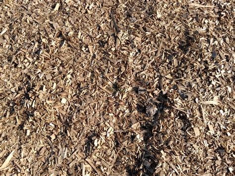 Image result for Compost Texture