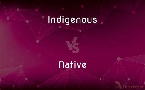 Native Synonym 的图像结果