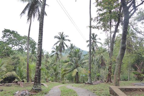 BIRDS PARK - POLGAHAWELA (Wadawa) - Specialty Inn Reviews, Photos, Rate ...