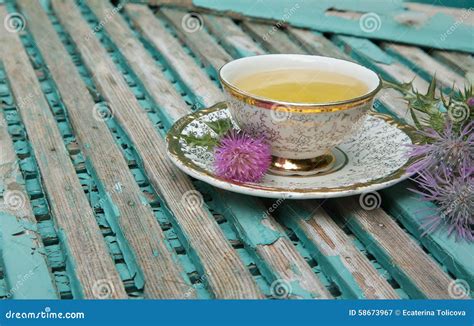 Milk thistle tea stock image. Image of care, breast, cancer - 58673967