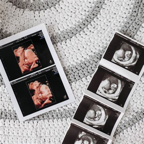 The Whole Range – Kendamil EU