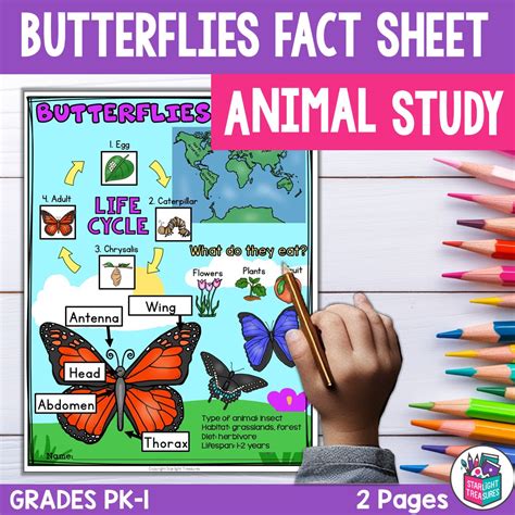 Butterflies Fact Sheet for Early Readers - Animal Study - Classful