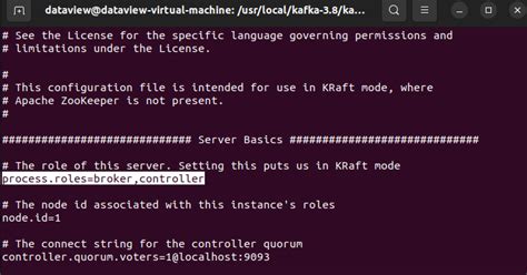 Integrating Apache Kafka in KRaft Mode with RisingWave for Event ...