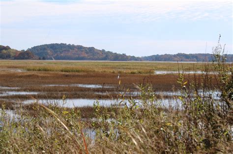 Growing Resiliency at Greenwood Farm - The Trustees of Reservations