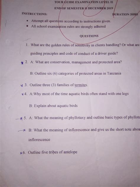 Level One to Level Three VETA Past Papers: A Comprehensive Guide ...