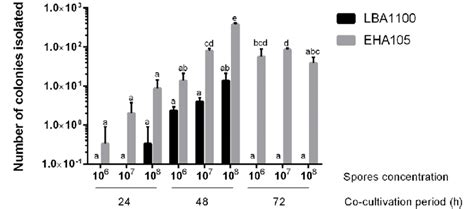 Image result for Transformation Efficiency Formula