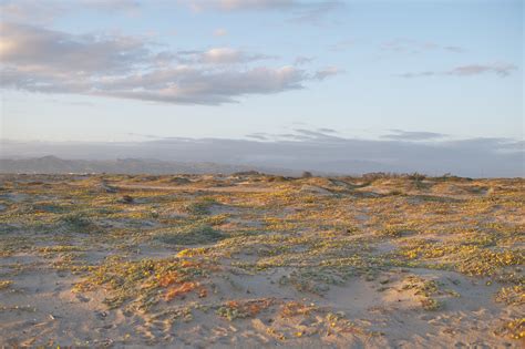 Camping in Ventura, California, US: 20 Best Ventura Campgrounds 2026 ...