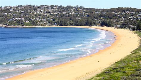 How Do Shells Form 的图像结果