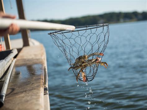 Fishing & Crabbing | Calvert County, MD - Official Website
