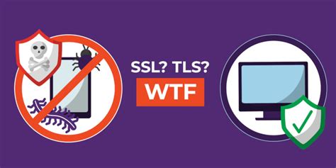 Image result for HTML Source Code Display