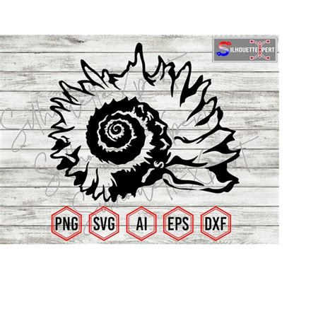 Seashell Silhouette 11, Seashell svg, Ocean Creatures svg - - Inspire ...