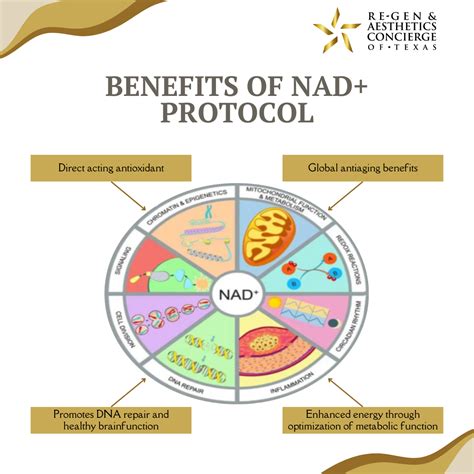 NAD+ Protocol | Re-Gen Aesthetics Concierge of Texas