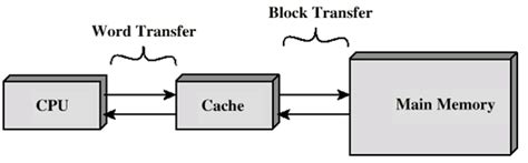 Image result for Computer Organization Cache Memory