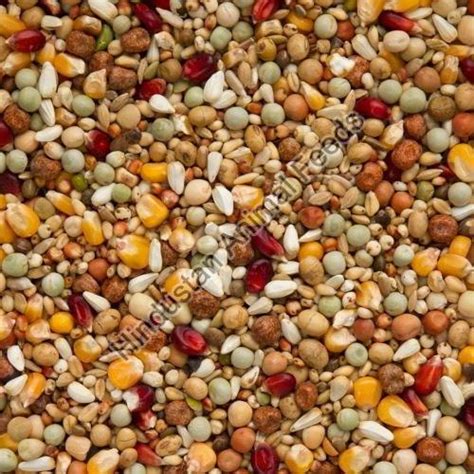 Pigeon Feed manufacturers