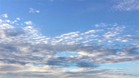 Climate System 的图像结果