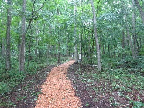 Kiusu Shuteibogun Ancient Tombs, Chitose - Tripadvisor