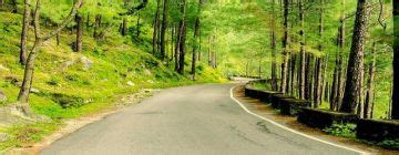 Amazing 2 Days Rishikesh Holiday Package | rishikesh Trip Package for 1 ...