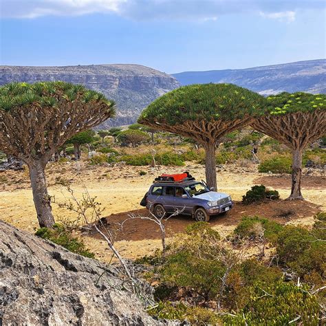 EMBRACE SOCOTRA (2025) All You Need to Know BEFORE You Go (with Photos ...